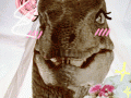 tumblr_mj7hg57WVj1rymto4o2_500.gif